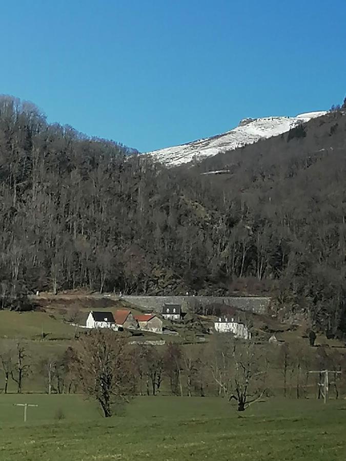 La Basse-Cour Lejlighed Vic-sur-Cère Eksteriør billede